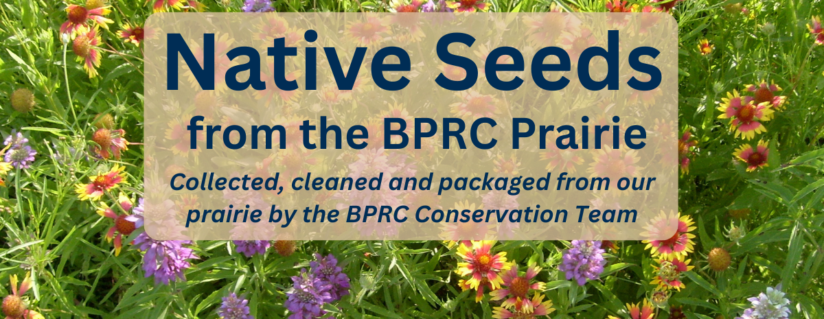 Prairie Seed Packets